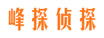 孝南婚外情调查取证